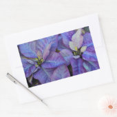 紫色のクリスマスポインセチア 長方形シール (封筒)