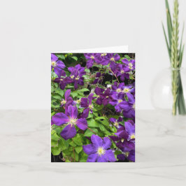 紫色のクレマチスの花と葉写真 カード