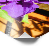 紫色のクレマチスの花 フォトプリント            (角)