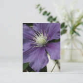紫色のクレマチスポストカード ポストカード (スタンド正面)