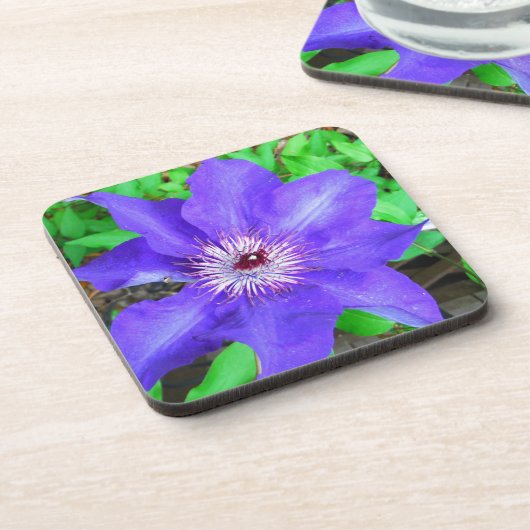紫色のクレマチス花 コースター (左側)