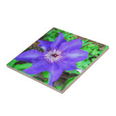 紫色のクレマチス花 タイル (側面)