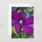 紫色のクレマチス花 ノートカード (正面/裏面)