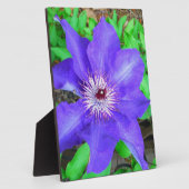 紫色のクレマチス花 フォトプラーク (側面)