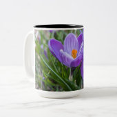 紫色のクロッカスの花 ツートーンマグカップ (正面左)