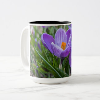 紫色のクロッカスの花 ツートーンマグカップ
