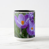 紫色のクロッカスの花 ツートーンマグカップ (中央)