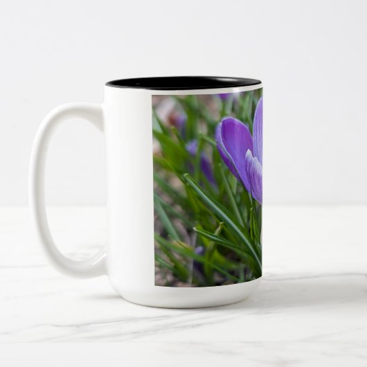 紫色のクロッカスの花 ツートーンマグカップ (左)