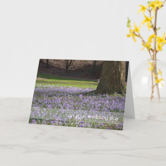 紫色のクロッカスDSC5434 カード (黄色い花)