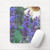 紫色のサルビアマウスパッド マウスパッド (マウス)
