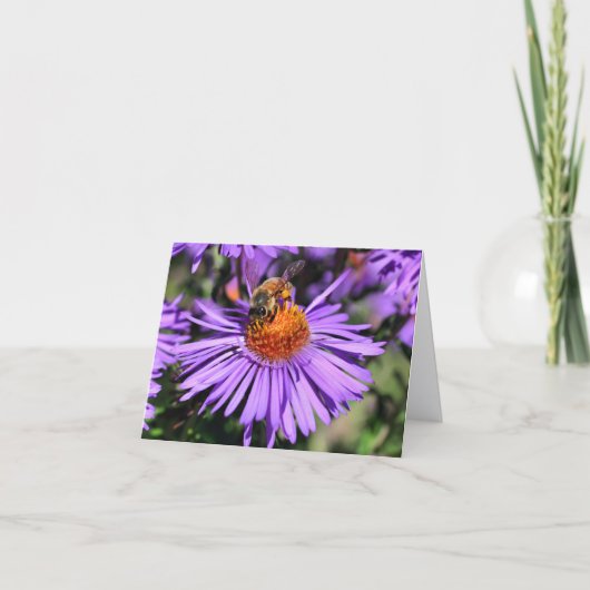 紫色のシオンの花の写真 ミツバチ ノートカード (正面)