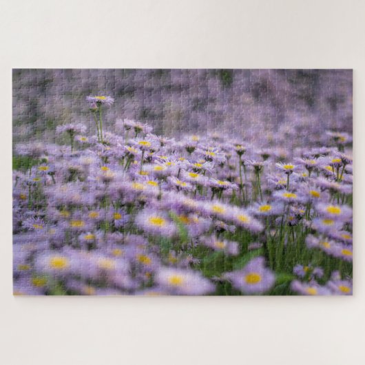 紫色のシオンの花 ジグソーパズル (横)