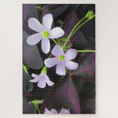 紫色のシャムロックの植物の花のクローズアップ写真 ジグソーパズル (縦)