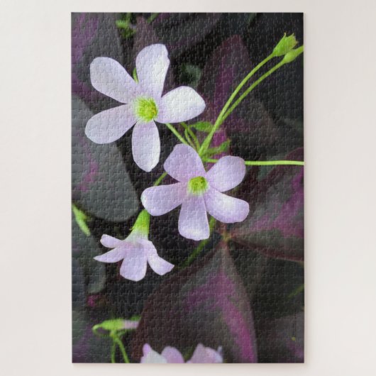 紫色のシャムロックの植物の花のクローズアップ写真 ジグソーパズル (縦)