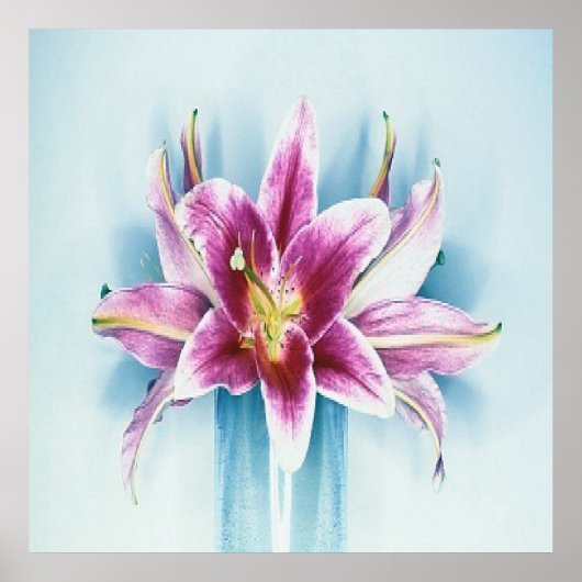 紫色のタイガーリリーのポスター ポスター (正面)