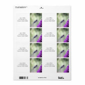 紫色のダリアを持つハチドリ ラベル (フルシート)