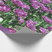 紫色のチューリップの包装紙 ラッピングペーパー (角)