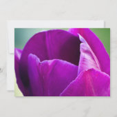 紫色のチューリップの結婚式招待状 招待状 (裏面)