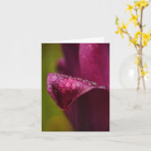 紫色のチューリップカード カード (黄色い花)