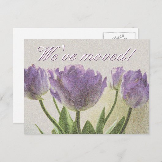 紫色のチューリップ付き新しいアドレスポストカードプリント 案内ポストカード (正面/裏面)