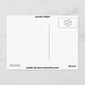 紫色のチューリップ2007年 ポストカード (裏面)