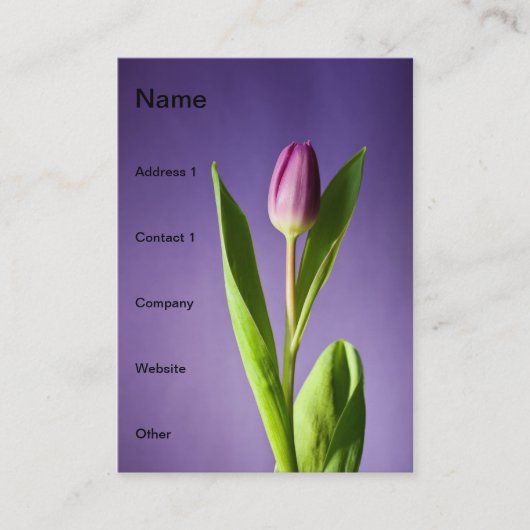 紫色のチューリップ 名刺 (正面)