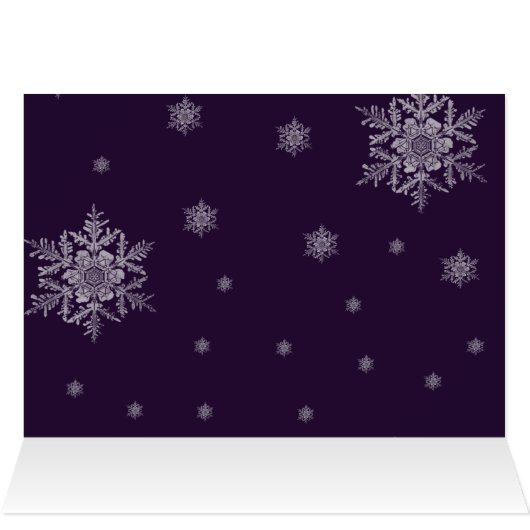 紫色のトナカイのグリーティングカード (内部横(上))