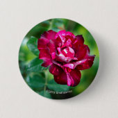 紫色のトラは上がりました 缶バッジ (正面)