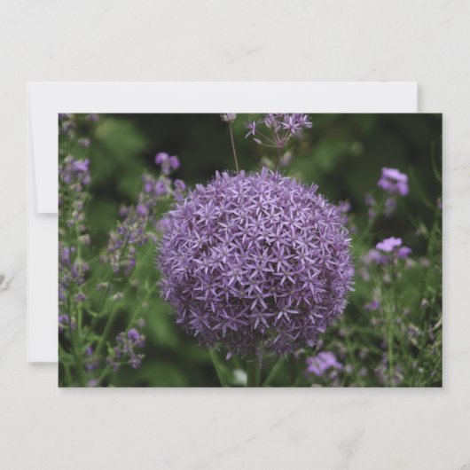 紫色のネギの花 – フラットグリーティングカード カード (正面)