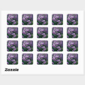 紫色のハイビスカスの花 スクエアシール (シート)