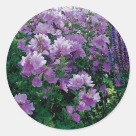 紫色のハイビスカスの花 ラウンドシール