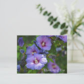 紫色のハイビスカスガーデン考えフラワーズオブユー シーズンポストカード (スタンド正面)