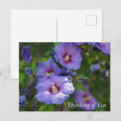 紫色のハイビスカスガーデン考えフラワーズオブユー シーズンポストカード (正面/裏面)