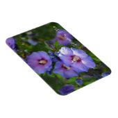 紫色のハイビスカスガーデン考えフラワーズオブユー マグネット (右側)