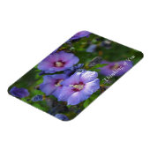 紫色のハイビスカスガーデン考えフラワーズオブユー マグネット (左側)