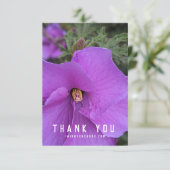 紫色のハイビスカスフラワークローズアップ (スタンド正面)