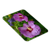 紫色のハイビスカス花マグネット マグネット (右側)