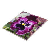 紫色のパンジーのタイル タイル (側面)