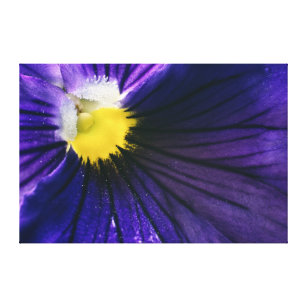 紫色のパンジーマクロ写真エレガント キャンバスプリント