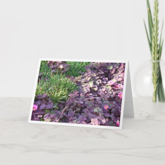 紫色のパンジー カード (正面)