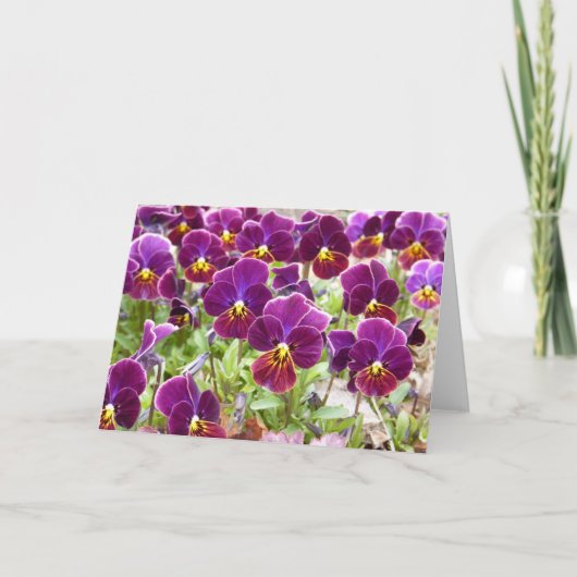 紫色のパンジー カード (正面)