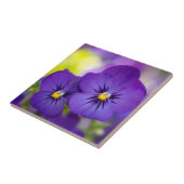 紫色のビオラ タイル (側面)