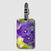 紫色のビオラ ラゲッジタグ (正面縦)
