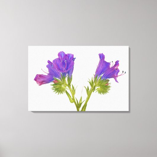 紫色のビパーブグロス(平皮外膜) キャンバスプリント (正面)