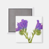 紫色のビパーブグロス（平皮外膜） マグネット (正面/裏面)