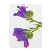 紫色のビパーブグロス（平皮外膜） マグネット (縦)