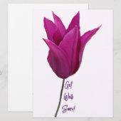 紫色のピンクのチューリップの花々はすぐに芸術に素晴らしなる シーズンカード (正面/裏面)