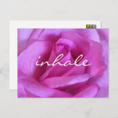 紫色のピンクのバラの花の写真はっきりしたInhaleスクリプト ポストカード (正面/裏面)