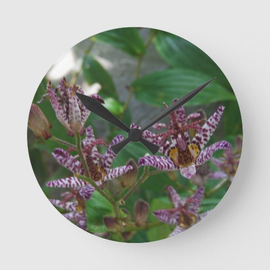 紫色のピンクの白くストライプのな蘭は花をlilly好みます ラウンド壁時計 (正面)