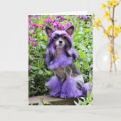 紫色のピンクの花の中国語によって頂点に達される犬 カード (黄色い花)